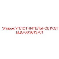 663613701 УПЛОТНИТЕЛЬНОЕ КОЛЬЦО Epiroc
