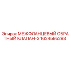1624595283 МЕЖФЛАНЦЕВЫЙ ОБРАТНЫЙ КЛАПАН-3 | Epiroc