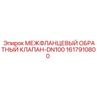 1617910800 Межфланцевый обратный клапан DN100 Эпирок (Epiroc)