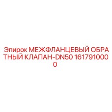 1617910000 МЕЖФЛАНЦЕВЫЙ ОБРАТНЫЙ КЛАПАН-DN50 Epiroc