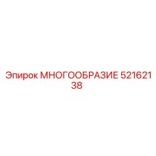 52162138 МНОГООБРАЗИЕ Epiroc