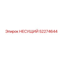 52274644 НЕСУЩИЙ Epiroc