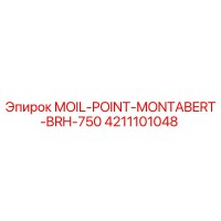 4211101048 MOIL-POINT-MONTABERT-BRH-750 Epiroc
