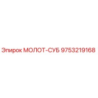 9753219168 МОЛОТ-СУБ Epiroc