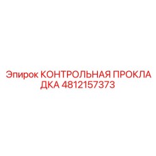 4812157373 КОНТРОЛЬНАЯ ПРОКЛАДКА Epiroc