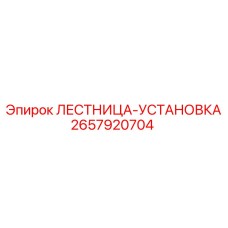 2657920704 ЛЕСТНИЦА-УСТАНОВКА (Epiroc)
