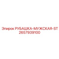 2657939100 РУБАШКА-МУЖСКАЯ-ST Epiroc