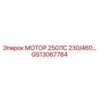 GS13067784 МОТОР 250ЛС 230/460 Epiroc