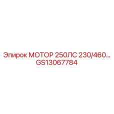 GS13067784 МОТОР 250ЛС 230/460 Epiroc