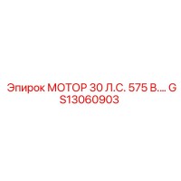 GS13060903 МОТОР 30 Л.С. 575 В Epiroc