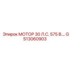 GS13060903 МОТОР 30 Л.С. 575 В Epiroc