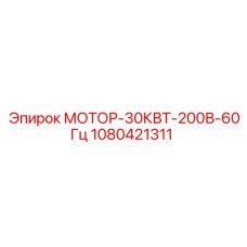 1080421311 МОТОР-30КВТ-200В-60Гц Epiroc