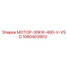 1080403903 МОТОР-30KW-400-V-VSD Эпирок