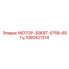 1080421314 МОТОР-30КВТ-575В-60Гц Epiroc