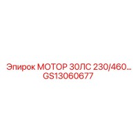 GS13060677 МОТОР 30ЛС 230/460 Epiroc