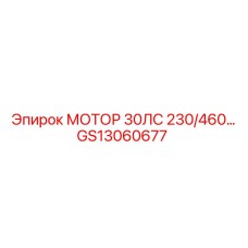 GS13060677 МОТОР 30ЛС 230/460 Epiroc