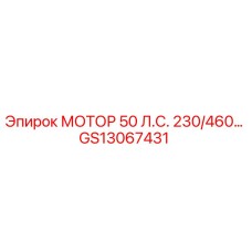 GS13067431 МОТОР 50 Л.С. 230/460 Epiroc