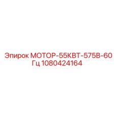 1080424164 МОТОР-55КВТ-575В-60Гц Epiroc