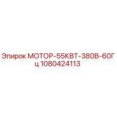 1080424113 МОТОР-55КВТ-380В-60Гц Epiroc