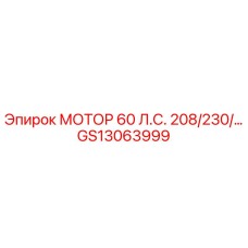 GS13063999 МОТОР 60 Л.С. 208/230/… Epiroc