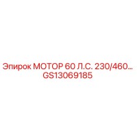 GS13069185 МОТОР 60 Л.С. 230/460 Epiroc