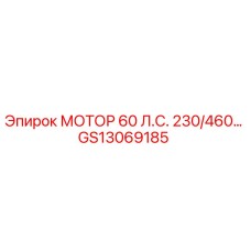 GS13069185 МОТОР 60 Л.С. 230/460 Epiroc