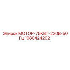 1080424202 МОТОР-75КВТ-230В-50Гц Epiroc