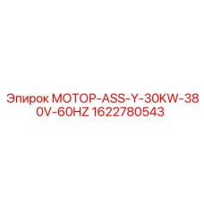 1622780543 МОТОР-ASS-Y-30KW-380V-60HZ Epiroc