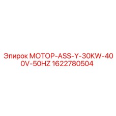 1622780504 МОТОР-ASS-Y-30KW-400V-50HZ Epiroc
