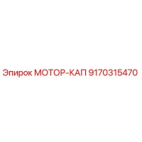 9170315470 МОТОР-КАП Epiroc