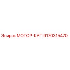 9170315470 МОТОР-КАП Epiroc