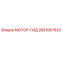 2651067833 МОТОР-ГИД Эпирок (Epiroc)