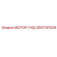 2651791028 МОТОР-ГИД Epiroc