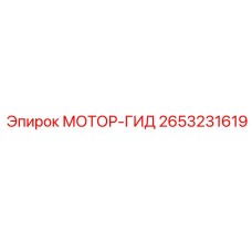 2653231619 МОТОР-ГИД Epiroc