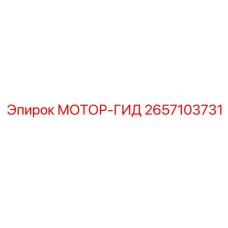 2657103731 МОТОР-ГИД Epiroc