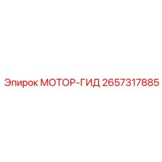 2657317885 МОТОР-ГИДРО Epiroc