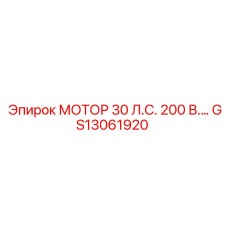 GS13061920 МОТОР 30 Л.С. 200 В. Epiroc