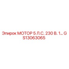 GS13063065 МОТОР 5 Л.С. 230 В. 1… Epiroc