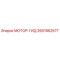 2651982577 МОТОР-ГИД Epiroc
