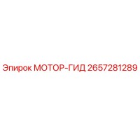 2657281289 МОТОР-ГИД Epiroc