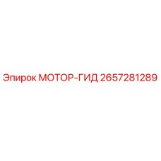 2657281289 МОТОР-ГИД Epiroc