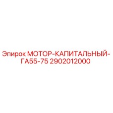 2902012000 МОТОР-КАПИТАЛЬНЫЙ-ГА55-75 Epiroc