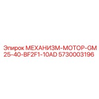 5730003196 МЕХАНИЗМ-МОТОР-GM25-40-BF2F1-10AD Epiroc