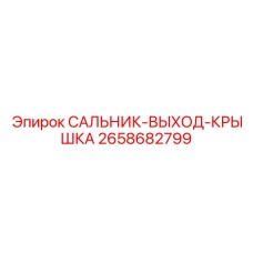2658682799 САЛЬНИК-ВЫХОД-КРЫШКА Epiroc