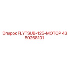 4350268101 FLYTSUB-125-МОТОР Epiroc