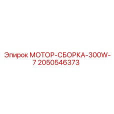 2050546373 МОТОР-СБОРКА-300W-7 | Epiroc