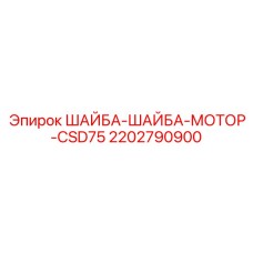 2202790900 ШАЙБА-ШАЙБА-МОТОР-CSD75 Epiroc