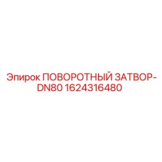 1624316480 ПОВОРОТНЫЙ ЗАТВОР-DN80 Epiroc
