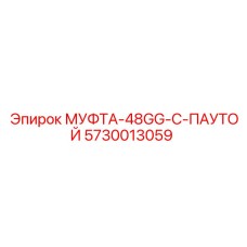 5730013059 МУФТА-48GG-С-ПАУТОЙ Epiroc
