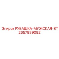 2657939092 РУБАШКА-МУЖСКАЯ-ST Epiroc
